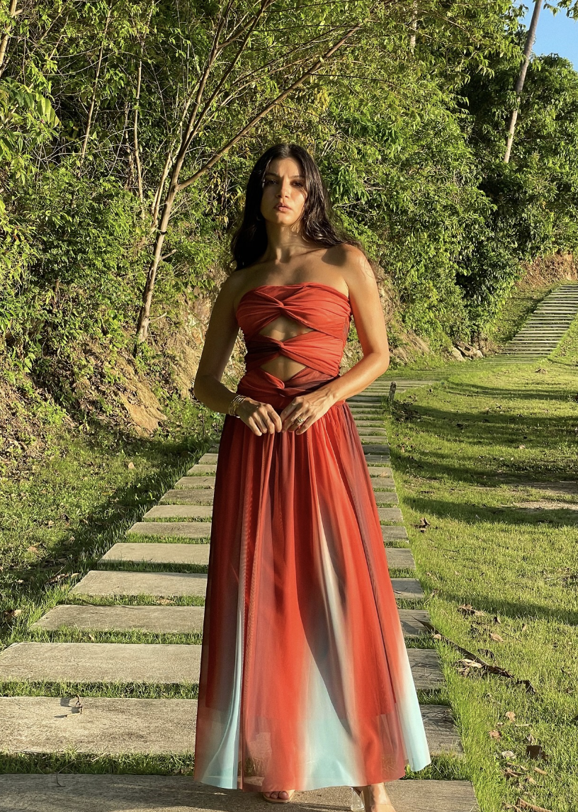 Janika – Ombre mesh cut-out – Midi dress-15168503972224-Santi Vento Atelier