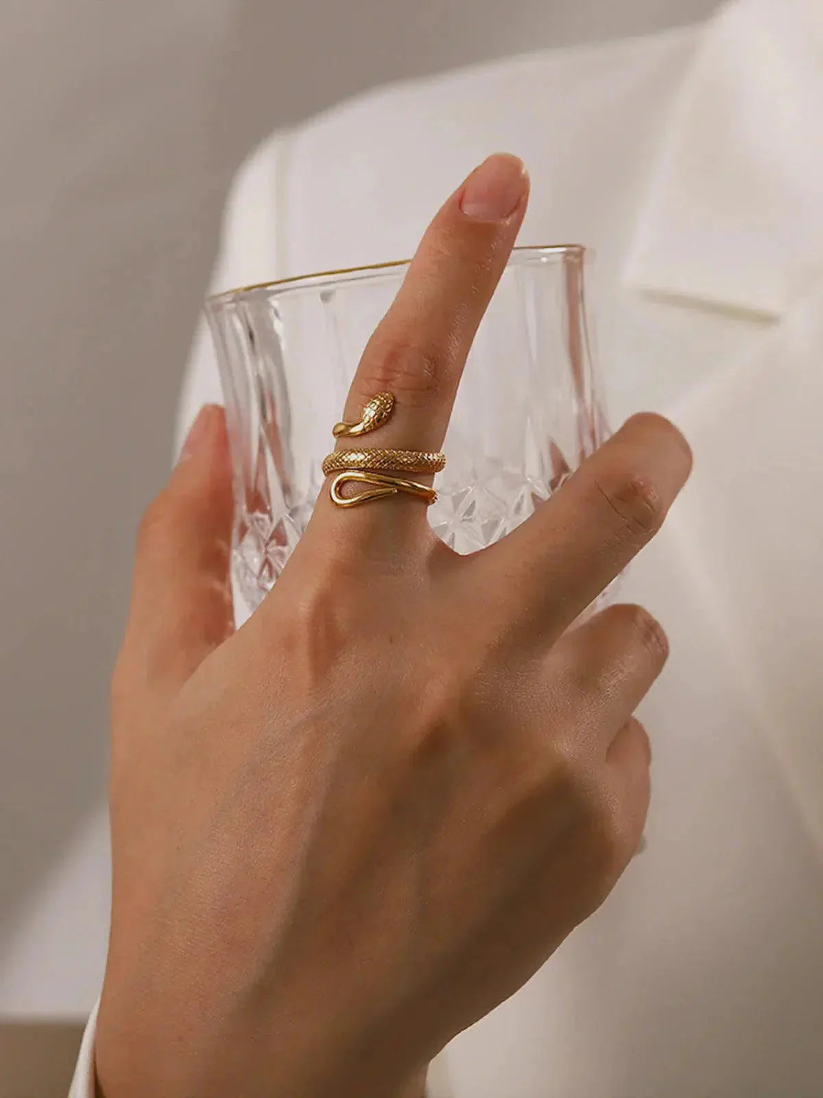 Vipera – Statement design – Titanium steel ring-15137988346240-Santi Vento Atelier