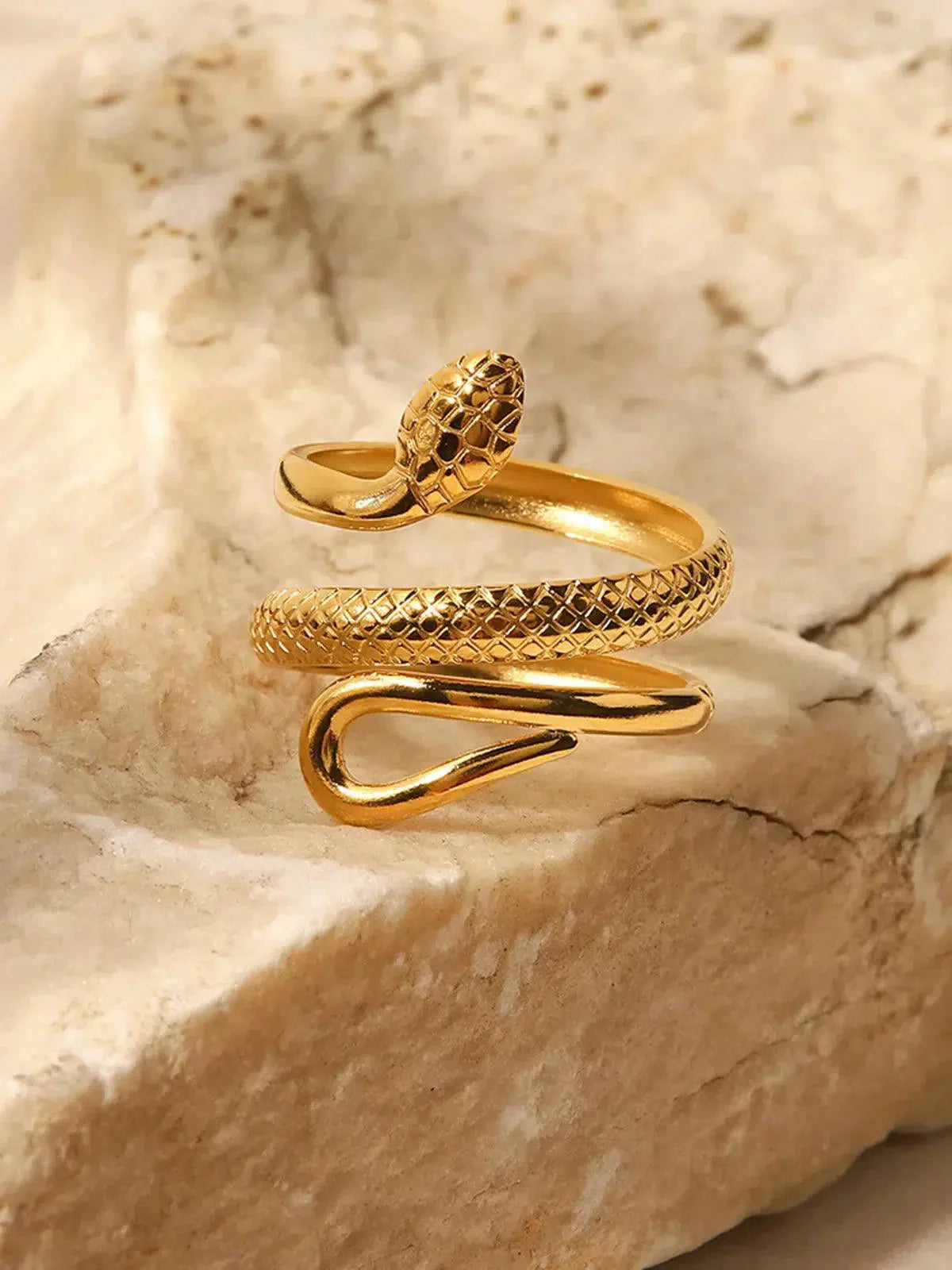 Vipera – Statement design – Titanium steel ring-15137988346240-Santi Vento Atelier
