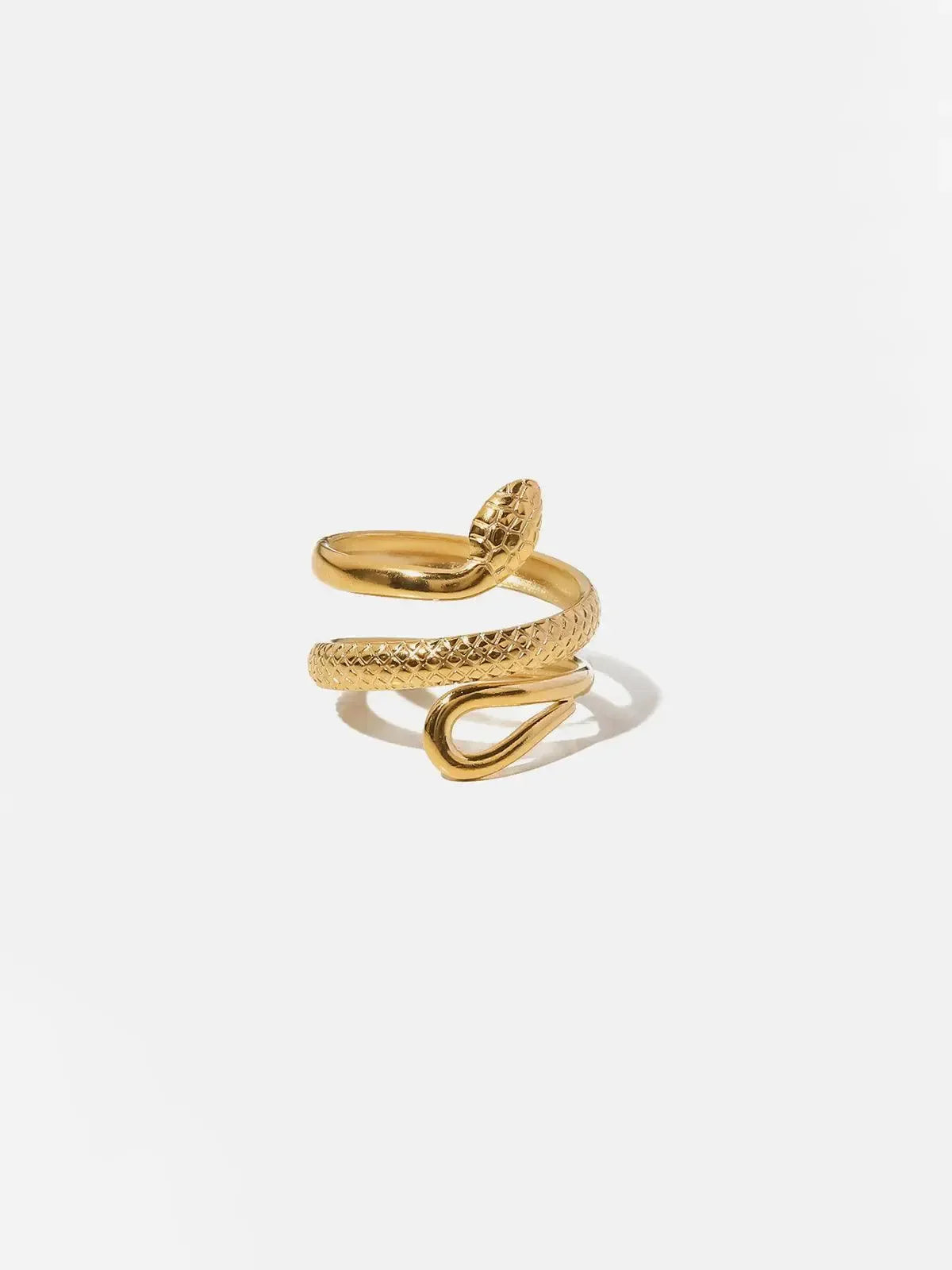 Vipera – Statement design – Titanium steel ring-15137988346240-Santi Vento Atelier